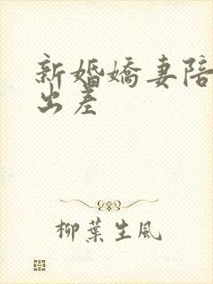 新婚娇妻陪局长出差封面