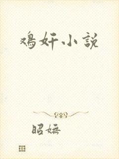 鸡奸小说