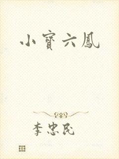 小宝六凤