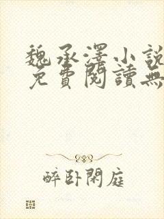 魏承泽小说全文免费阅读无弹窗笔趣