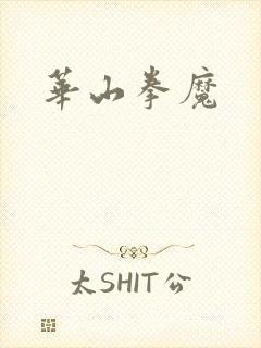 华山拳魔封面