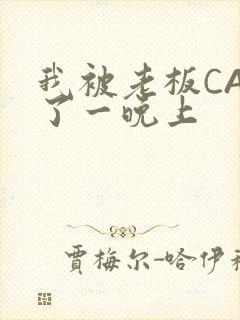 我被老板CAO了一晚上封面