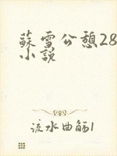 苏雪公憩28篇小说