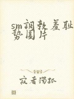 sm调教羞耻姿势图片