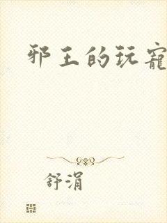 邪王的玩宠封面