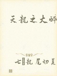 天龙之大醉侠封面