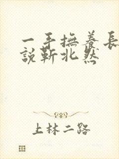 一手抚养长大小说靳北然