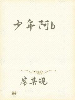 少年阿b