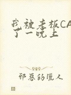 我被老板CAO了一晚上封面