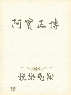 阿宾正传