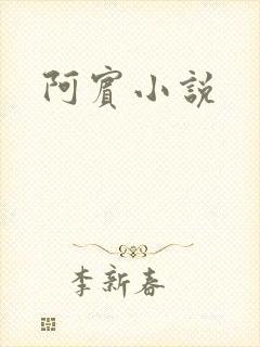 阿宾小说