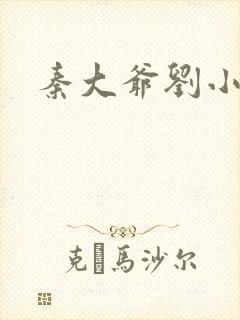秦大爷刘小静