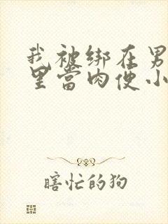我被绑在男公厕里当肉便小说