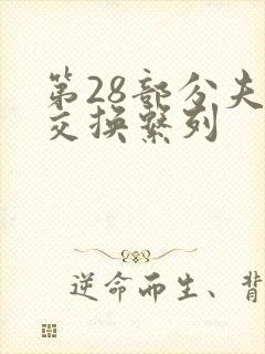 第28部分夫妇交换系列