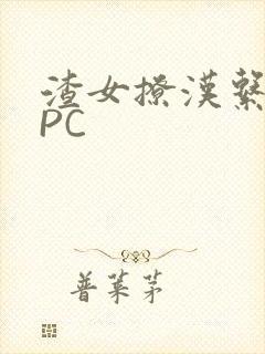 渣女撩汉系统NPC