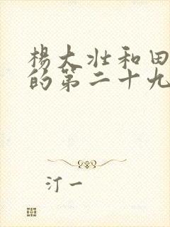 杨大壮和田桂花的第二十九