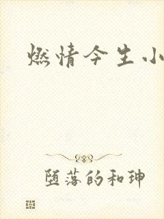 燃情今生小说封面