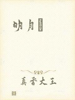 明月珰