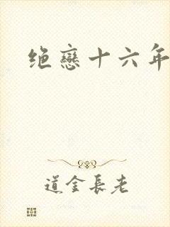 绝恋十六年封面