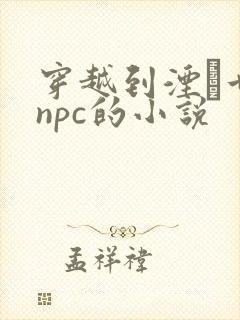 穿越到湮婸世界npc的小说