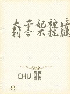 太子妃被暗卫C到合不拢腿