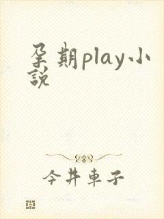孕期play小说封面
