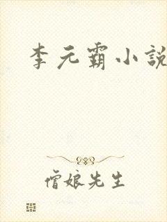 李元霸小说