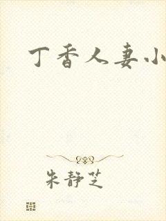 丁香人妻小说封面