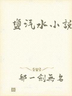 盐汽水小说