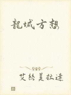 龙城方想封面