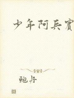 少年阿兵宾封面