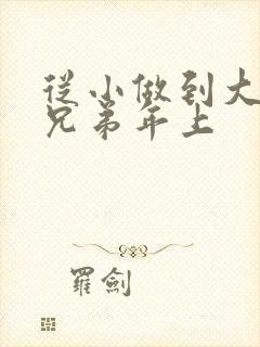 从小做到大骨科兄弟年上封面