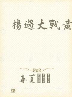 杨过大战黄蓉