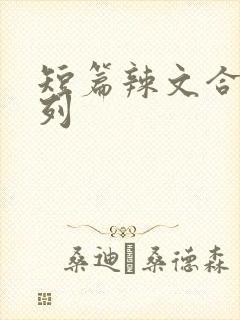 短篇辣文合集系列