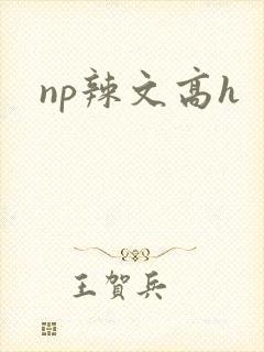 np辣文高h