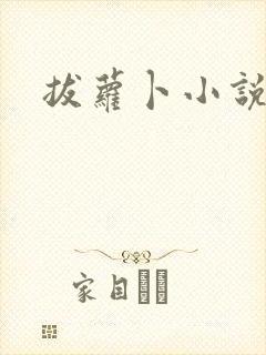 拔萝卜小说