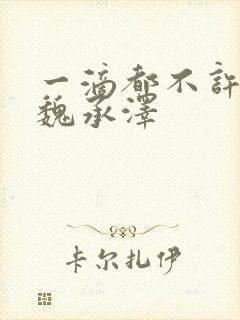一滴都不许漏 魏承泽封面