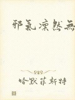邪气凛然无弹窗封面