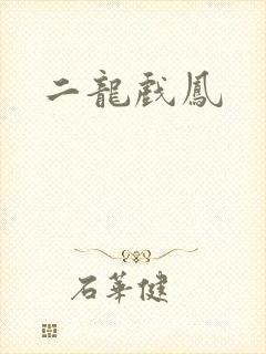 二龙戏凤