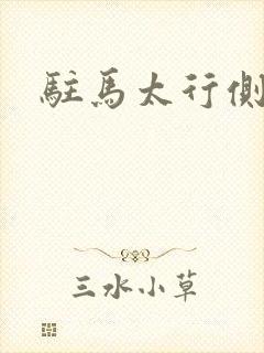 驻马太行侧