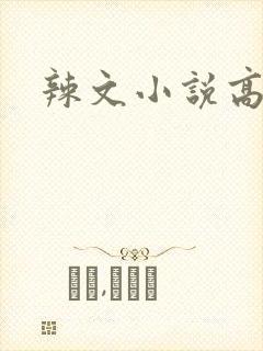 辣文小说高h