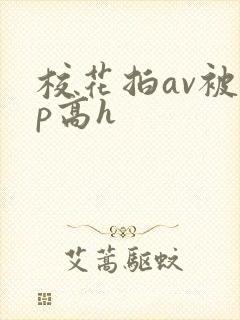 校花拍av被np高h
