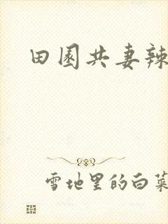 田园共妻辣