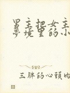 男主把女主拖进梦境里的小说