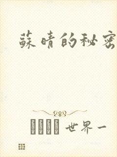 苏晴的秘密小说
