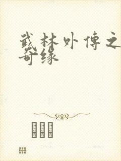 武林外传之同福奇缘封面
