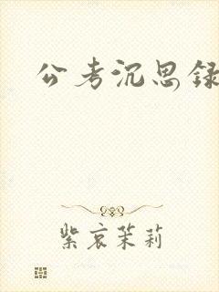 公考沉思录