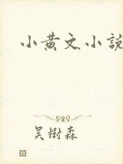 小黄文小说封面