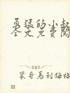 勇猛的小叔小说全文免费阅读
