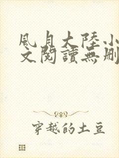风月大陆小说全文阅读无删减
